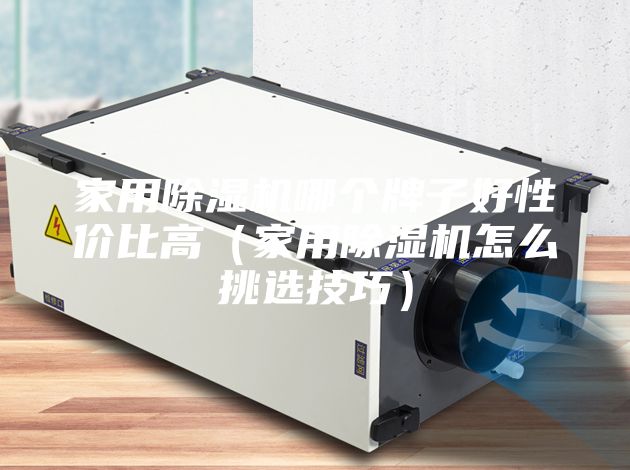家用除濕機哪個牌子好性價比高（家用除濕機怎么挑選技巧）