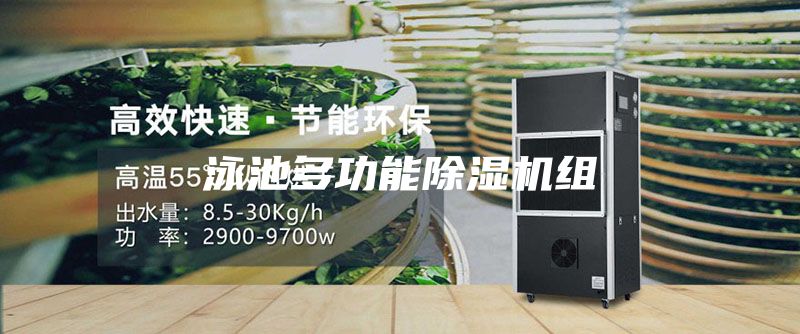 泳池多功能除濕機(jī)組