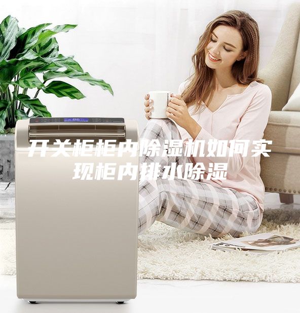 開關(guān)柜柜內(nèi)除濕機(jī)如何實(shí)現(xiàn)柜內(nèi)排水除濕