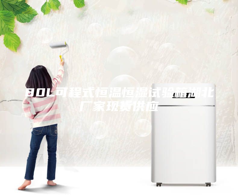 80L可程式恒溫恒濕試驗箱湖北廠家現(xiàn)貨供應