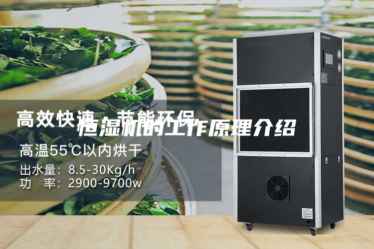 恒濕機(jī)的工作原理介紹
