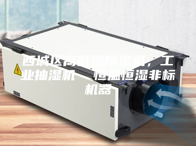 西城區(qū)高低溫除濕機(jī)，工業(yè)抽濕機(jī)  恒溫恒濕非標(biāo)機(jī)器