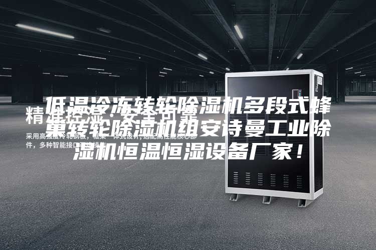 低溫冷凍轉(zhuǎn)輪除濕機多段式蜂巢轉(zhuǎn)輪除濕機組安詩曼工業(yè)除濕機恒溫恒濕設(shè)備廠家！