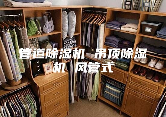 管道除濕機 吊頂除濕機 風管式
