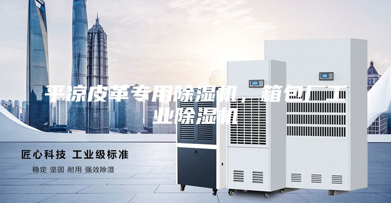 平?jīng)銎じ飳Ｓ贸凉駲C，箱包廠工業(yè)除濕機