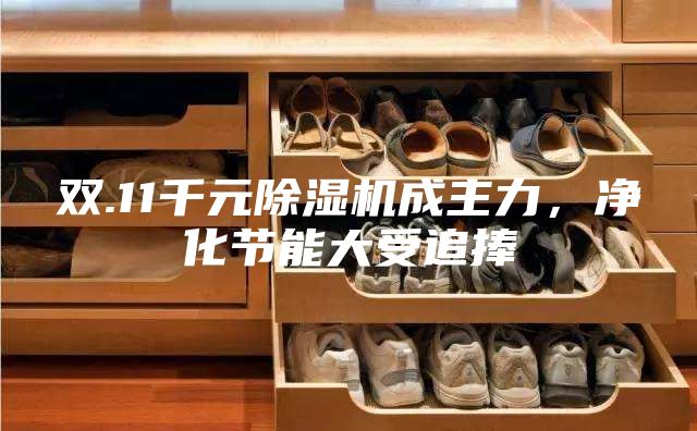 雙.11千元除濕機成主力，凈化節(jié)能大受追捧