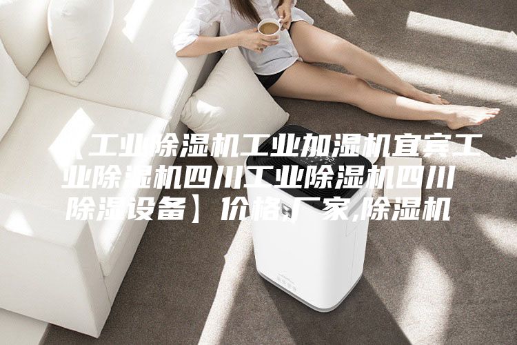 【工業(yè)除濕機(jī)工業(yè)加濕機(jī)宜賓工業(yè)除濕機(jī)四川工業(yè)除濕機(jī)四川除濕設(shè)備】價(jià)格,廠家,除濕機(jī)