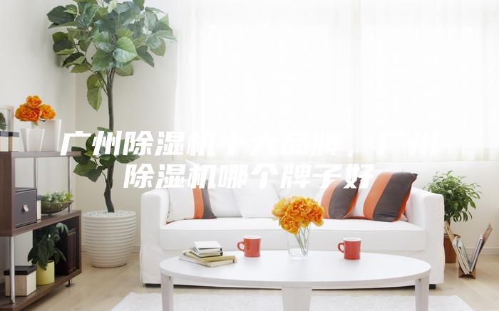 廣州除濕機十大品牌，廣州除濕機哪個牌子好