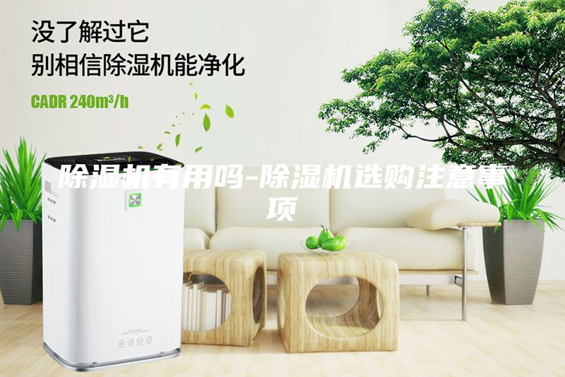 除濕機(jī)有用嗎-除濕機(jī)選購注意事項(xiàng)