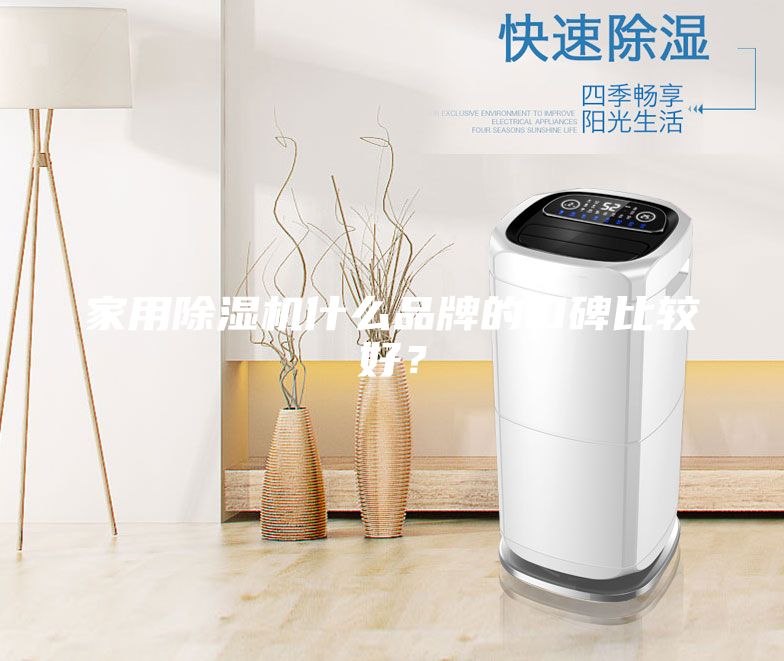 家用除濕機什么品牌的口碑比較好？