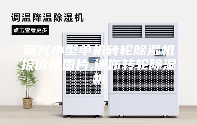 嘉興小型單機轉(zhuǎn)輪除濕機報價及圖片,迷你轉(zhuǎn)輪除濕機