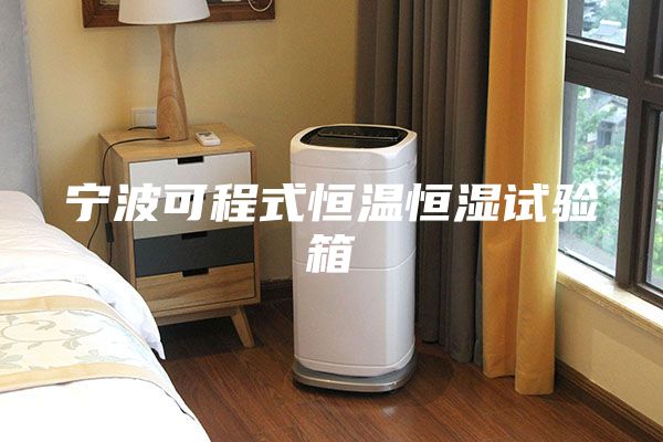 寧波可程式恒溫恒濕試驗箱