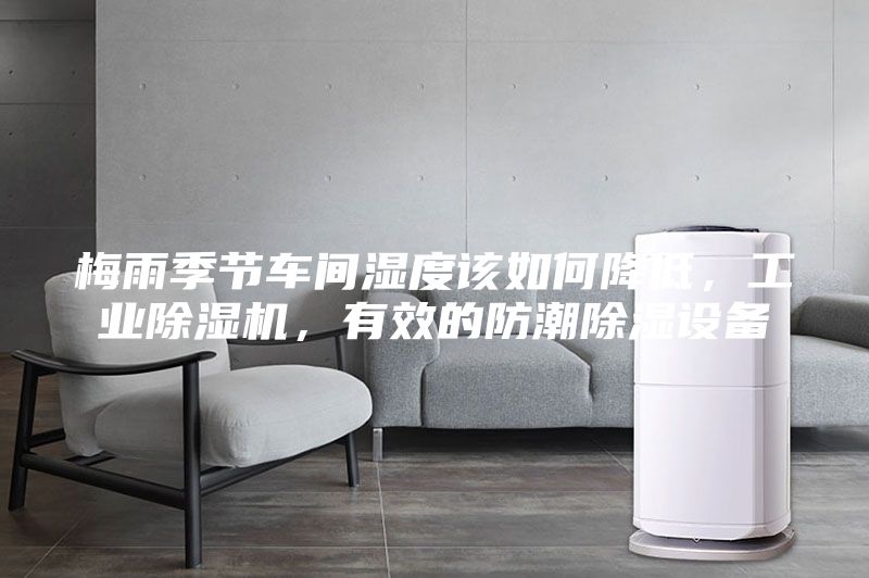 梅雨季節車間濕度該如何降低，工業除濕機，有效的防潮除濕設備