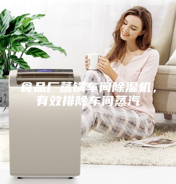 食品廠蒸鍋車間除濕機，有效排除車間蒸汽