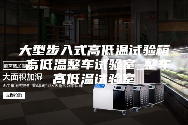 大型步入式高低溫試驗箱_高低溫整車試驗室_整車高低溫試驗室
