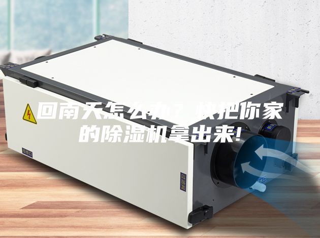 回南天怎么辦?快把你家的除濕機拿出來!