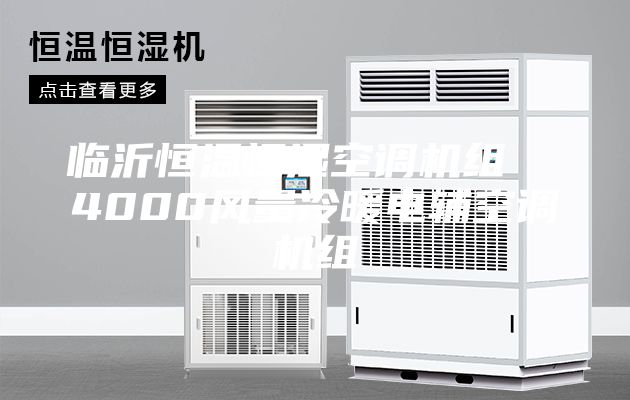 臨沂恒溫恒濕空調(diào)機(jī)組  4000風(fēng)量冷暖電輔空調(diào)機(jī)組