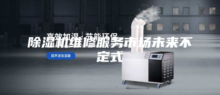除濕機維修服務(wù)市場未來不定式