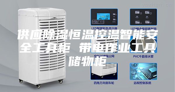 供應(yīng)除濕恒溫控溫智能安全工具柜 帶電作業(yè)工具儲物柜