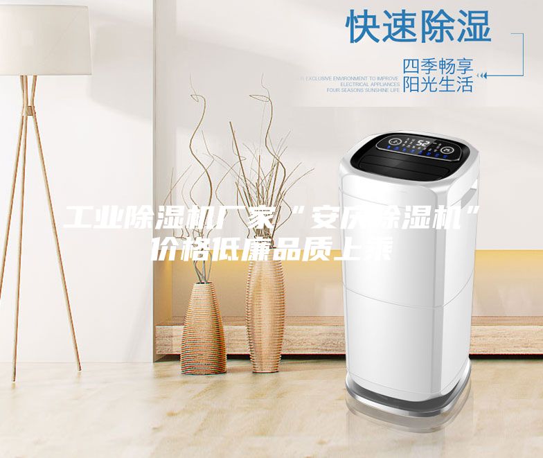 工業(yè)除濕機廠家“安慶除濕機”價格低廉品質(zhì)上乘