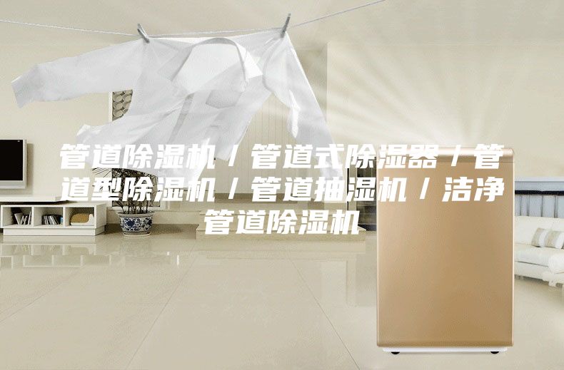 管道除濕機(jī)/管道式除濕器/管道型除濕機(jī)/管道抽濕機(jī)/潔凈管道除濕機(jī)