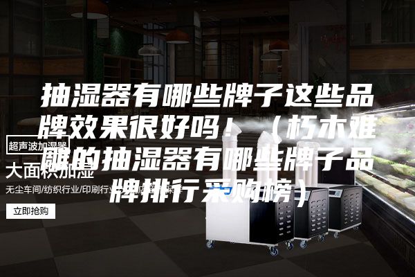 抽濕器有哪些牌子這些品牌效果很好嗎！（朽木難雕的抽濕器有哪些牌子品牌排行采購榜）