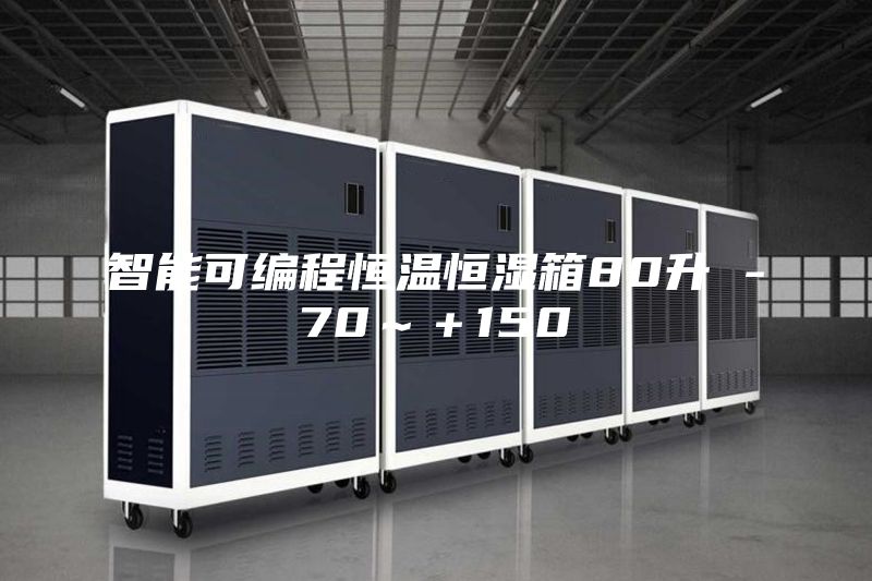 智能可編程恒溫恒濕箱80升 -70~+150℃