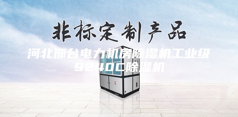 河北邢臺電力機房除濕機工業(yè)級9240C除濕機