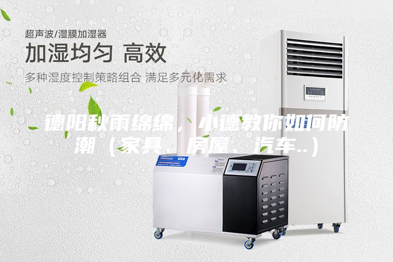 德陽秋雨綿綿，小德教你如何防潮（家具、房屋、汽車..）