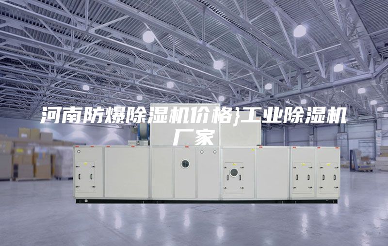 河南防爆除濕機(jī)價格}工業(yè)除濕機(jī)廠家