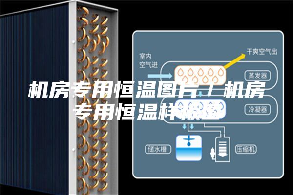 機房專用恒溫圖片/機房專用恒溫樣板圖