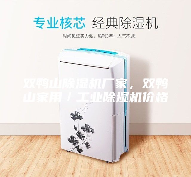雙鴨山除濕機(jī)廠家，雙鴨山家用／工業(yè)除濕機(jī)價(jià)格