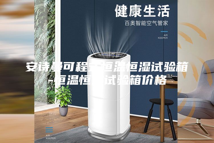 安詩曼可程式恒溫恒濕試驗(yàn)箱-恒溫恒濕試驗(yàn)箱價格