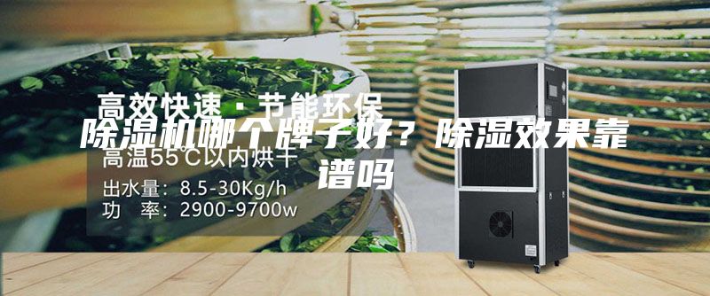除濕機哪個牌子好？除濕效果靠譜嗎