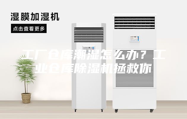 工廠倉庫潮濕怎么辦？工業倉庫除濕機拯救你