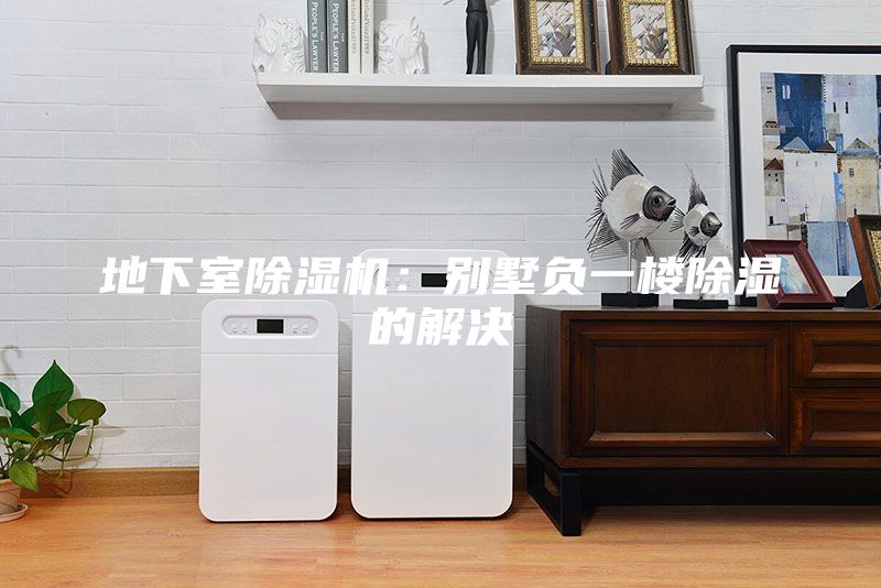 地下室除濕機(jī)：別墅負(fù)一樓除濕的解決