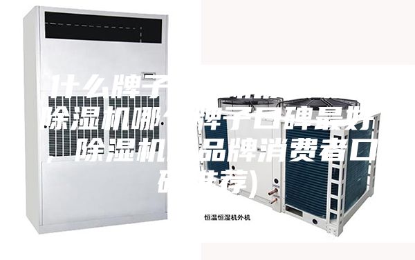 什么牌子除濕機(jī)質(zhì)量好(除濕機(jī)哪個(gè)牌子口碑最好，除濕機(jī)的品牌消費(fèi)者口碑推薦)