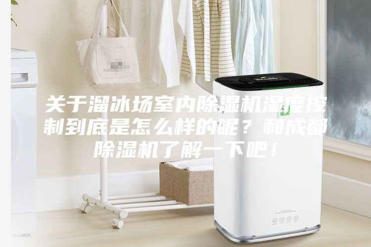 關(guān)于溜冰場(chǎng)室內(nèi)除濕機(jī)濕度控制到底是怎么樣的呢？和成都除濕機(jī)了解一下吧！