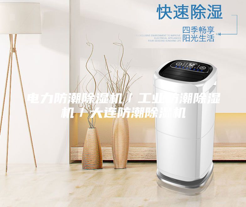 電力防潮除濕機／工業(yè)防潮除濕機／大連防潮除濕機