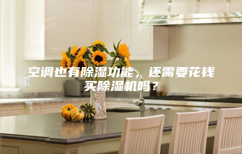 空調(diào)也有除濕功能,還需要花錢買除濕機(jī)嗎?