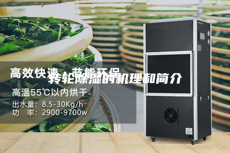 轉(zhuǎn)輪除濕的機理和簡介