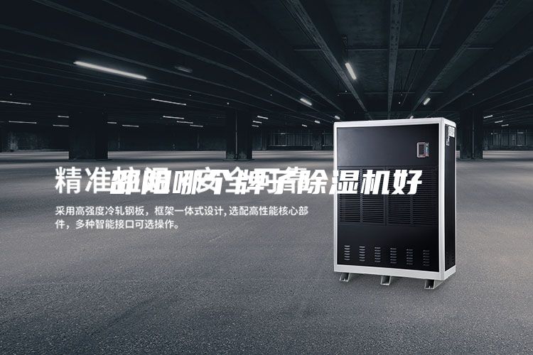 邵陽哪個(gè)牌子除濕機(jī)好