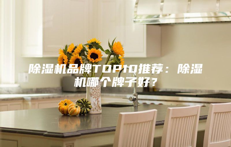 除濕機品牌TOP10推薦：除濕機哪個牌子好？