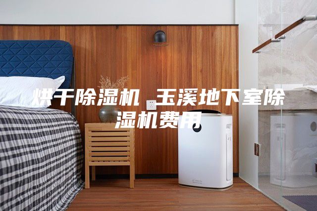 烘干除濕機(jī) 玉溪地下室除濕機(jī)費用