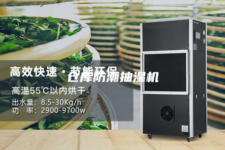 倉(cāng)庫(kù)防潮抽濕機(jī)
