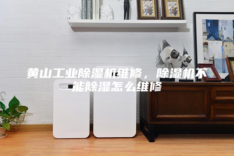 黃山工業(yè)除濕機(jī)維修，除濕機(jī)不能除濕怎么維修