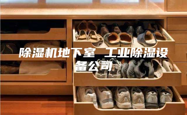 除濕機地下室 工業(yè)除濕設備公司