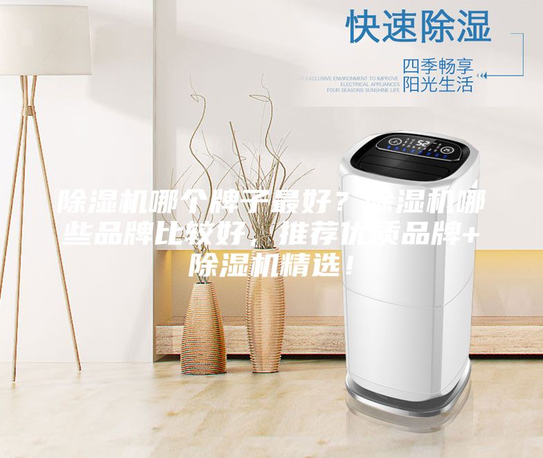 除濕機哪個牌子最好？除濕機哪些品牌比較好，推薦優質品牌+除濕機精選！