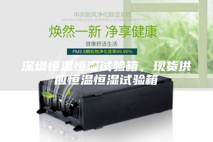 深圳恒溫恒濕試驗箱，現貨供應恒溫恒濕試驗箱