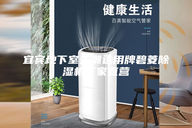 宜賓地下室去潮選用牌碧菱除濕機(jī)廠家直營